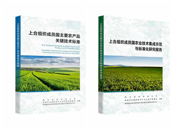 光影魔术手拼图_副本.jpg