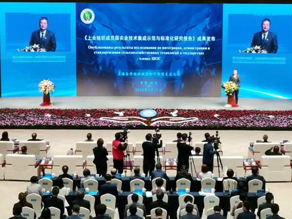 国际处新闻配图4_副本.jpg